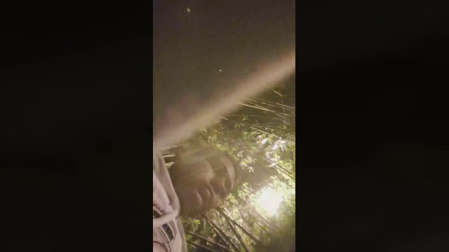 santiagosexo4  15-02-2022